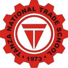 TNTS